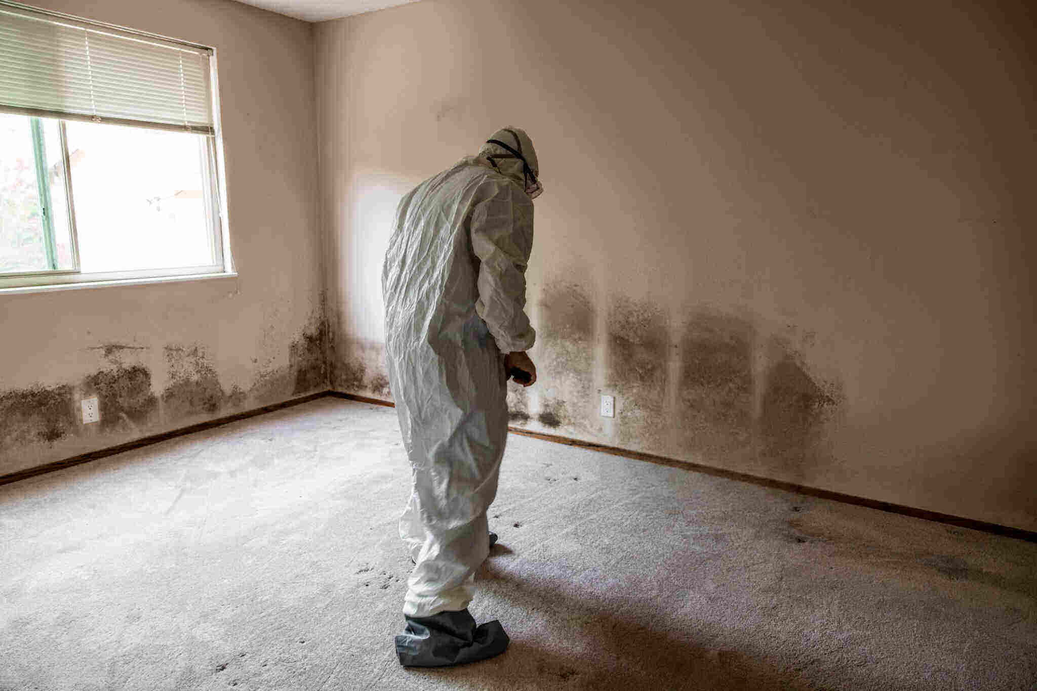 water damage cleanup